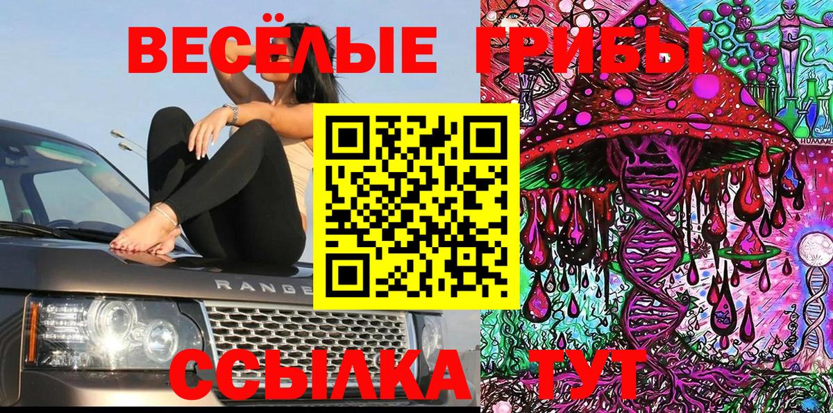Псилоцибиновые грибы Cubensis  Галлюциногенные грибы прущие грибы  Асино  Вход с VPN 