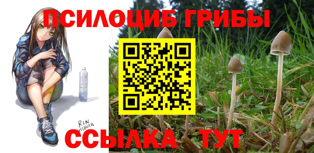 Псилоцибиновые грибы мухоморы Асино